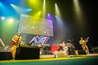 ゲスの極み乙女。「東阪ONEMAN TOUR 2019『変人大集合』」大阪・フェスティバルホール公演の模様。（撮影：渡邉一生）