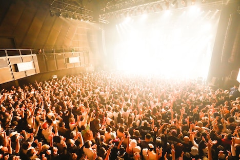 BILLIE IDLE「BILLIE IDLE TOUR LAST ORGY」マイナビBLITZ赤坂公演の様子。（写真提供：オツモレコード）