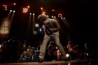 めいちゃん（撮影：小松陽祐［ODD JOB］）