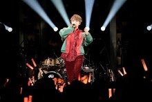 めいちゃん（撮影：小松陽祐［ODD JOB］）