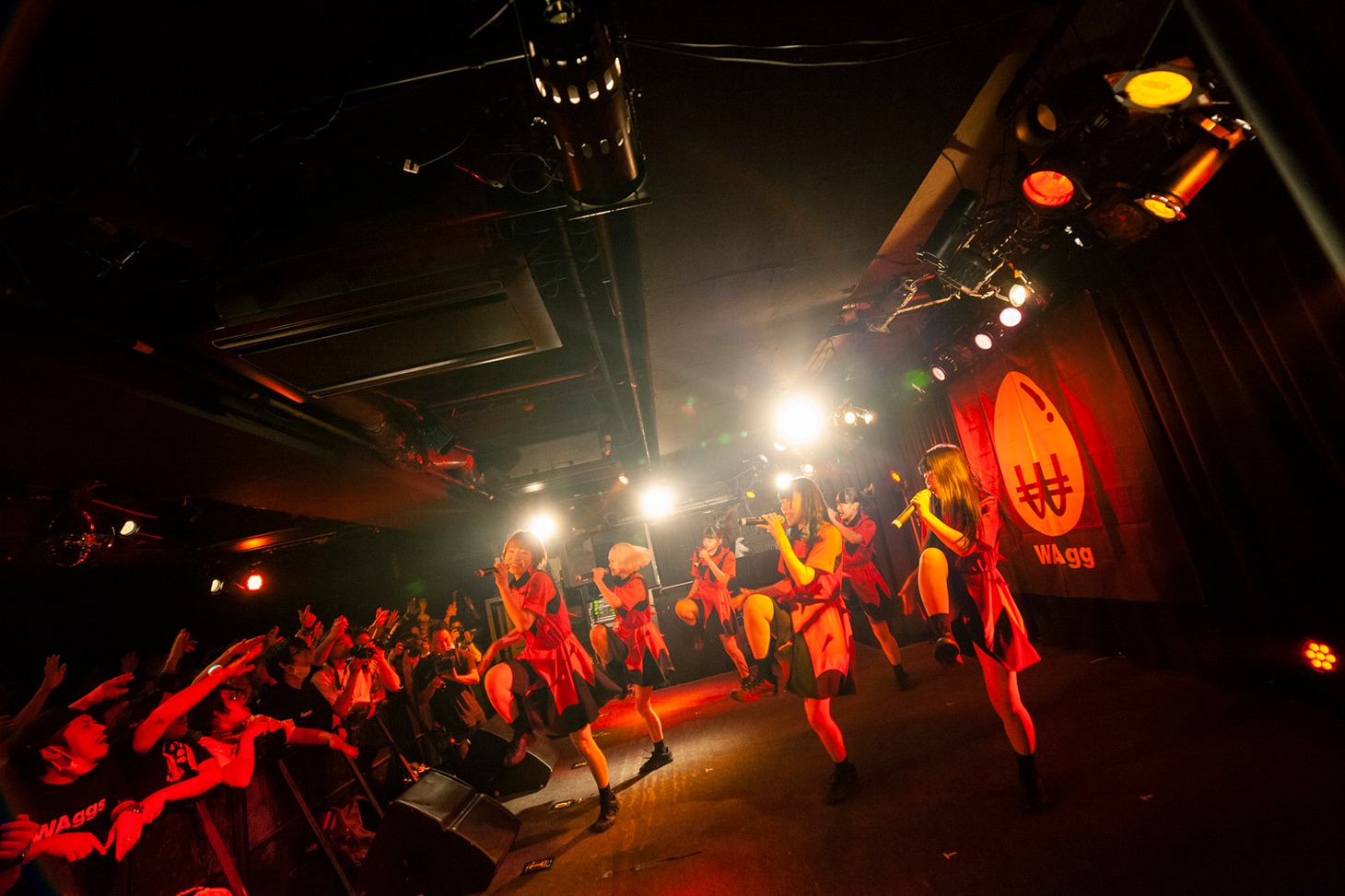 WAgg（Photo by sotobayashi kenta）