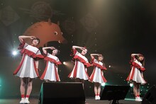 私立恵比寿中学