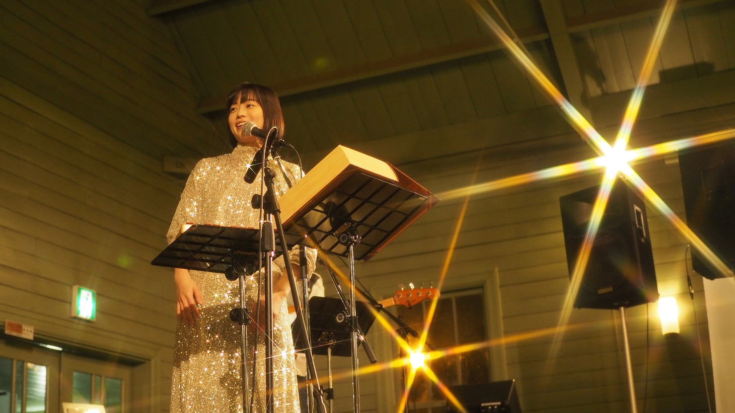 藤岡みなみ（Vo）