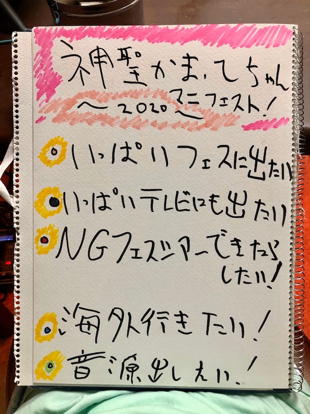 神聖かまってちゃん2020年マニフェスト