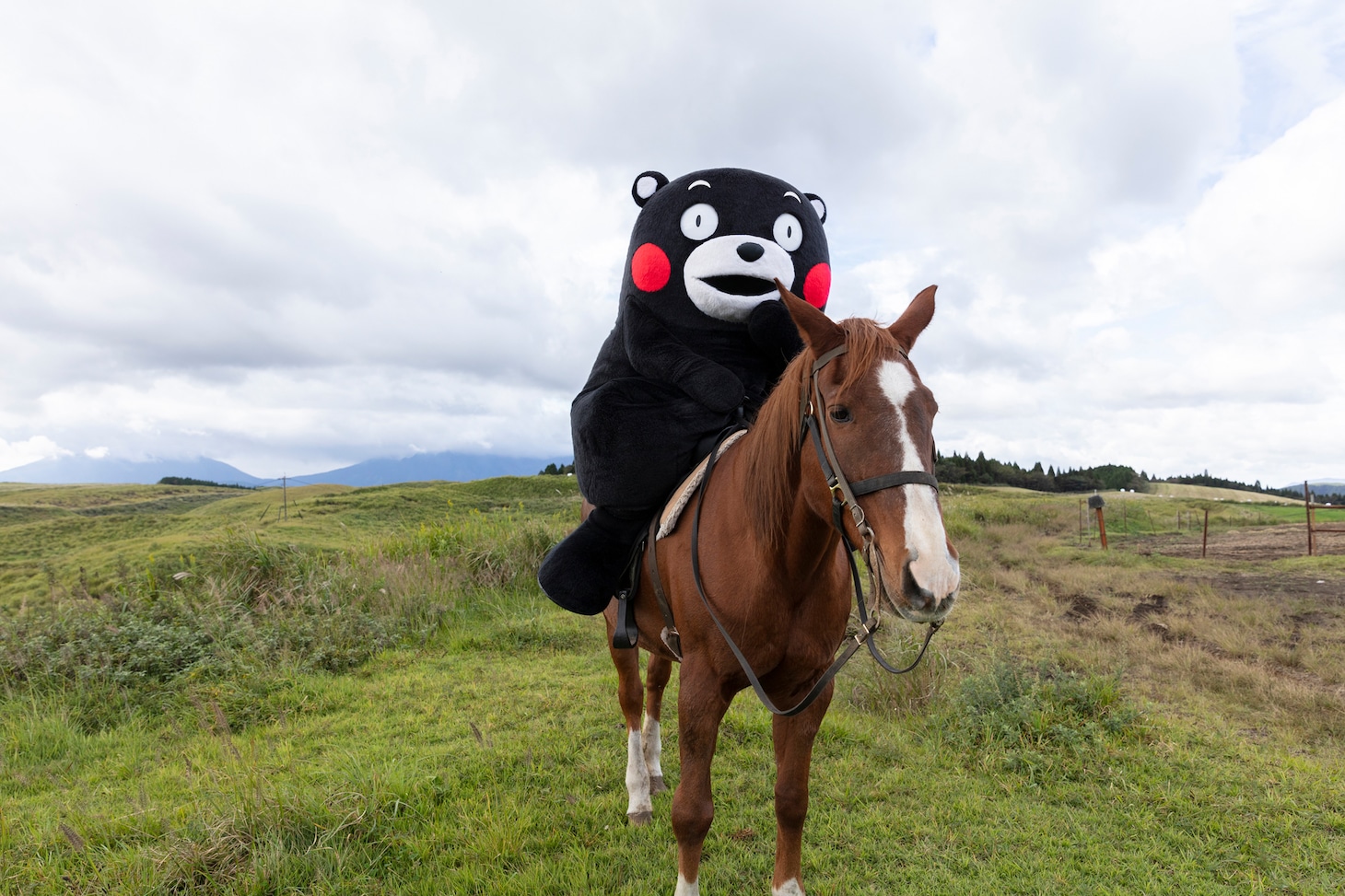 阿蘇で乗馬を楽しむくまモン。（撮影：宮井正樹）