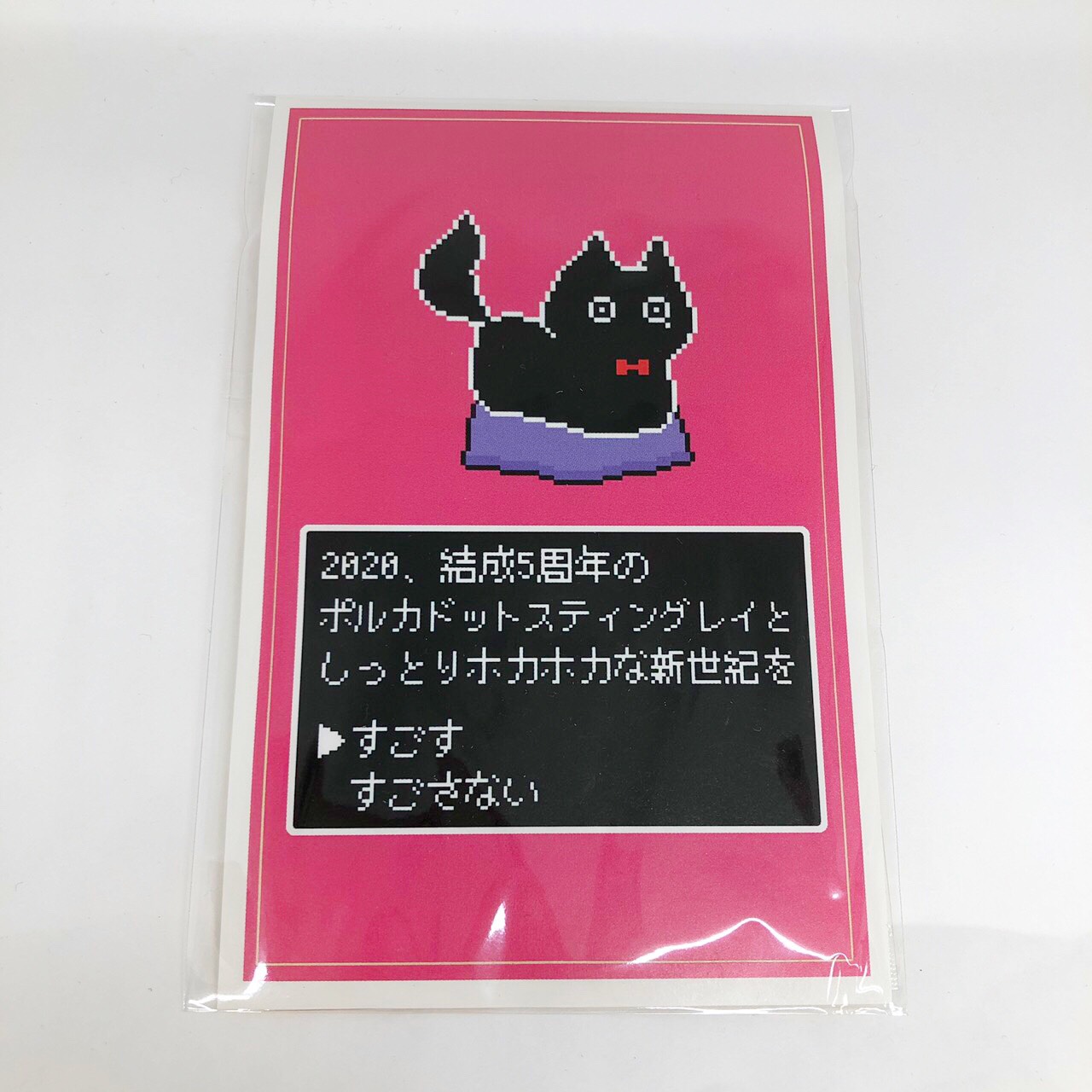 カイロの実物写真。