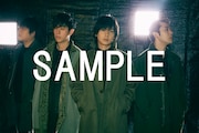 flumpool「素晴らしき嘘」TSUTAYA RECORDS購入者特典ポスターデザイン