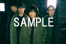 flumpool「素晴らしき嘘」タワーレコード購入者特典ポスターデザイン