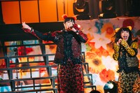 左からミキティー本物、ぺいにゃむにゃむ。（撮影：タマイシンゴ）