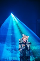 白鳥白鳥（撮影：タマイシンゴ）