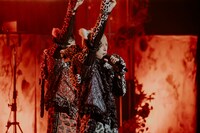 白鳥白鳥（手前）（撮影：タマイシンゴ）