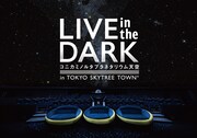 「LIVE in the DARK tour w/Salyu」2月27、28日東京公演の告知ビジュアル