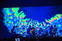 KOTORI（Photo by MASANORI FUJIKAWA）