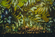 「YOUR SONG IS GOOD presents "SOFT LANDING" - 20th Anniversary Oneman Live Show at 日比谷野外大音楽堂 -」の様子。（撮影：三浦知也）