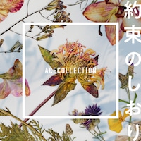 ACE COLLECTION「約束のしおり」配信ジャケット