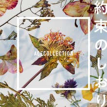 ACE COLLECTION「約束のしおり」配信ジャケット