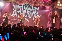 SHARE LOCK HOMESのライブの様子。
