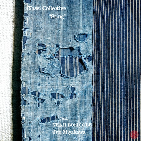 Yasei Collective「STING」ジャケット
