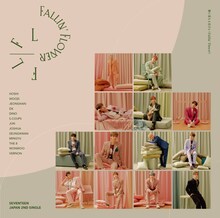 SEVENTEEN「舞い落ちる花びら（Fallin' Flower）」通常盤ジャケット