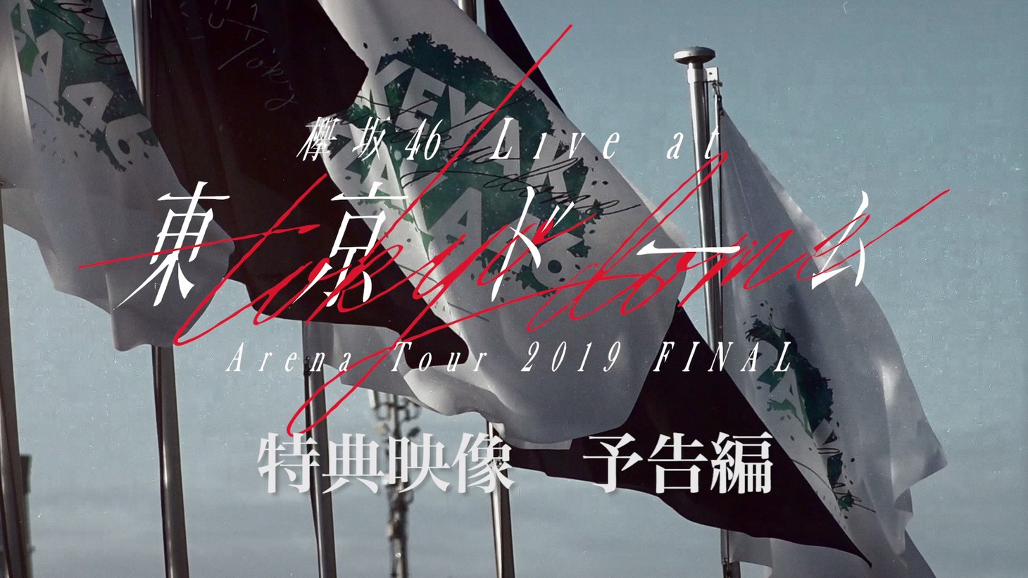 「欅坂46　LIVE at 東京ドーム ～ARENA TOUR 2019 FINAL～」特典映像の予告編より。