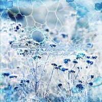 浅倉大介「Coda growth」配信ジャケット