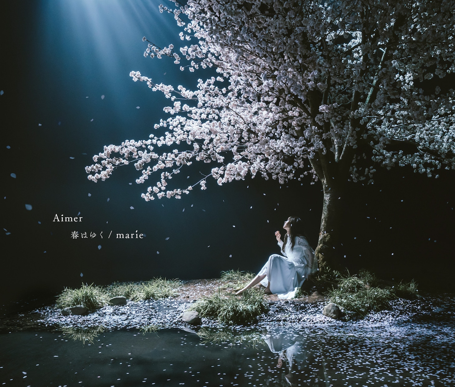 Aimer「春はゆく / marie」初回限定盤ジャケット