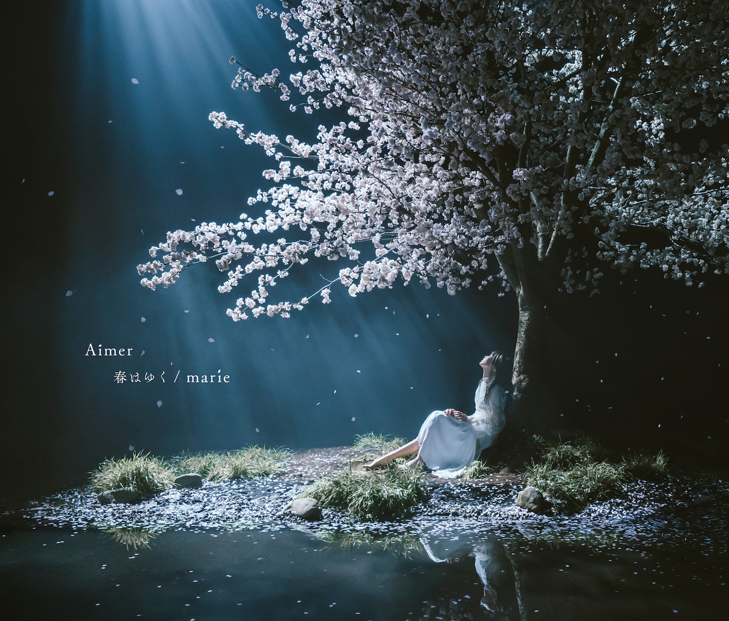 Aimer「春はゆく」通常盤ジャケット