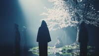 Aimer「春はゆく」ミュージックビデのワンシーン。