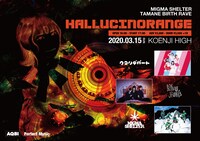 MIGMA SHELTER・タマネ生誕RAVE「HALLUCINORANGE（ハルシノレンジ）」フライヤー