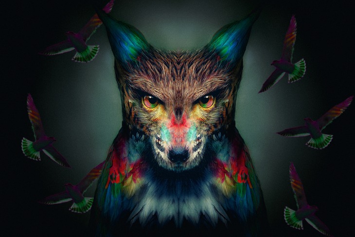 INUWASIのイメージビジュアル。