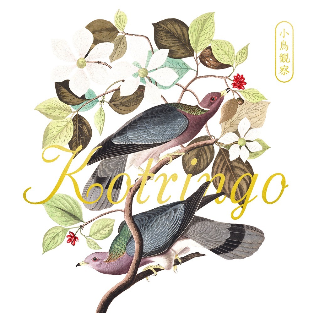 コトリンゴ「小鳥観察 Kotringo Best」ジャケット