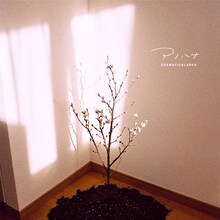 ドラマチックアラスカ「アノハナ（2020 ver.）」配信ジャケット