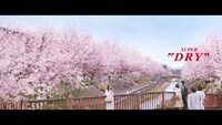 「アサヒスーパードライ」新テレビCM「桜の下で、エール篇」のワンシーン。