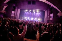 夜の本気ダンス「AUTUMN JACK OF SEA TOUR」メルパルクホール大阪公演の様子。（撮影：キムラユキ）