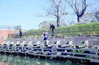 ドラマ「映像研には手を出すな！」第1話のワンシーン。(c)2020「映像研」実写ドラマ化作戦会議 (c)2016 大童澄瞳／小学館