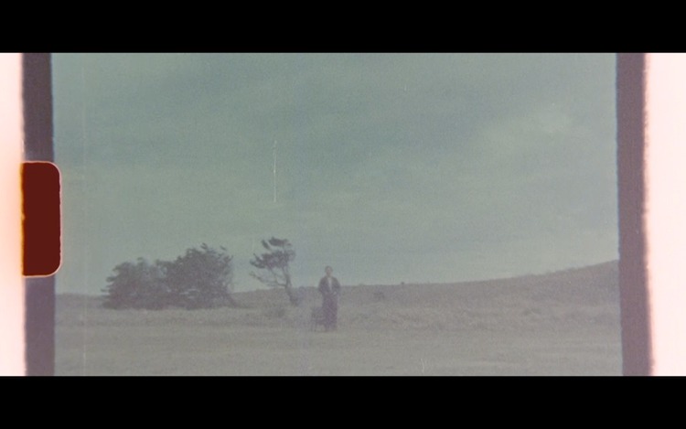 Shohei Takagi Parallela Botanica「Triptych」ティザー映像より。