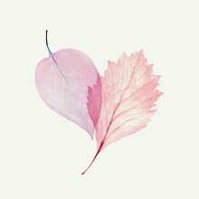 まふまふ「それを愛と呼ぶだけ」配信ジャケット