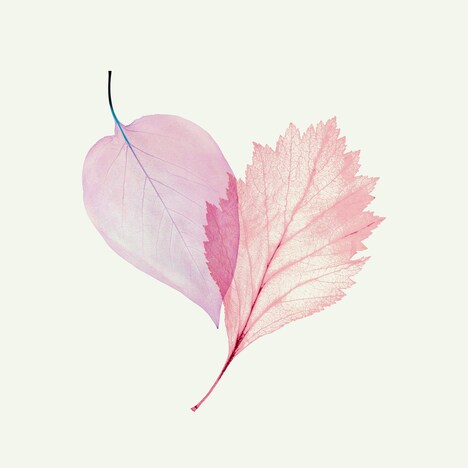 まふまふ「それを愛と呼ぶだけ」配信ジャケット