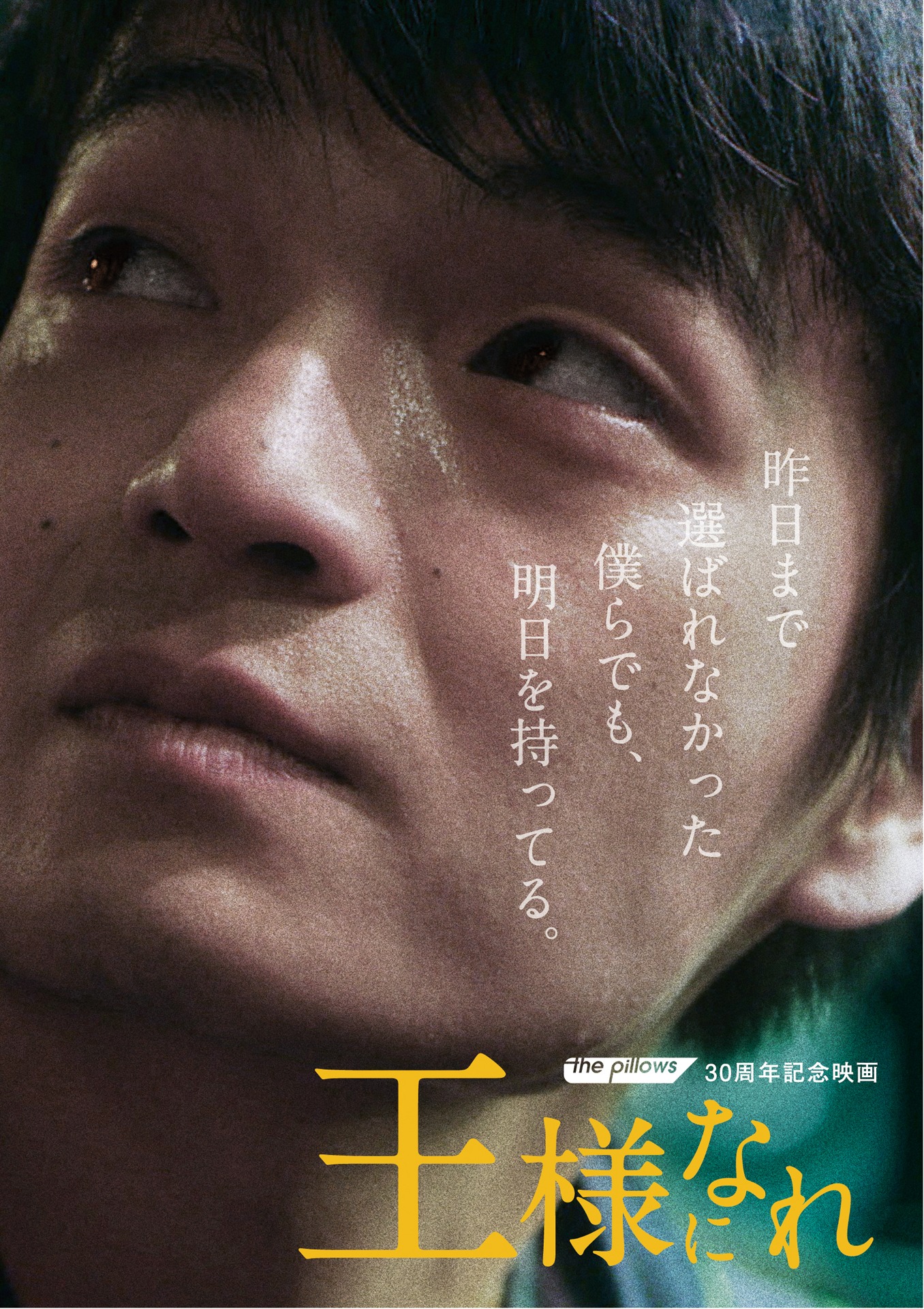 映画「王様になれ」DVDジャケット