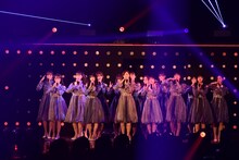 乃木坂46
