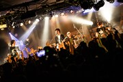 the pillows(Photo by Chiyori)
