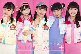 ハコムスのラストライブをみんなで迎えよう！定期便最終章はCLUB CITTA'で