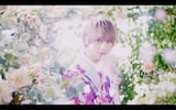 BUZZ-ER.「サクラエビデンス」ミュージックビデオの和シーン。