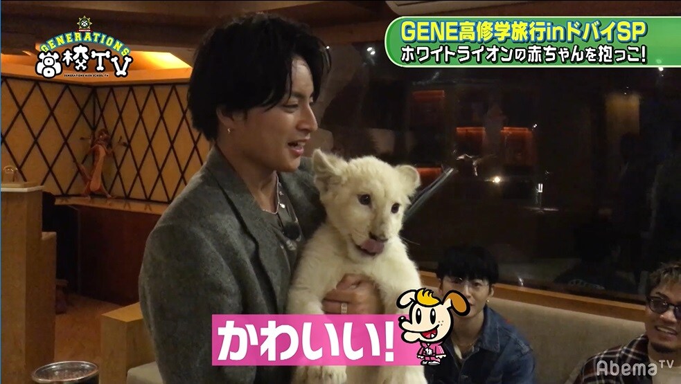 GENE高」最新回で小森隼が殿下のドリフトに大絶叫、ライオンの赤ちゃん