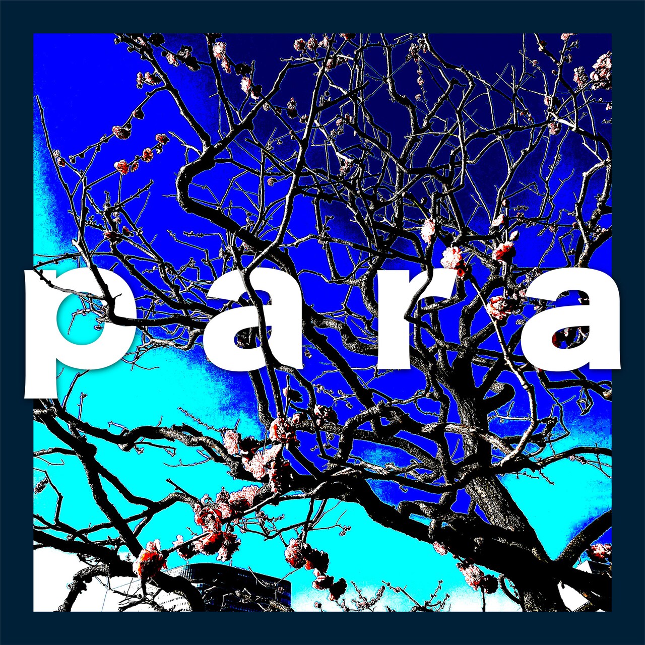 MO MOMA「para」配信ジャケット