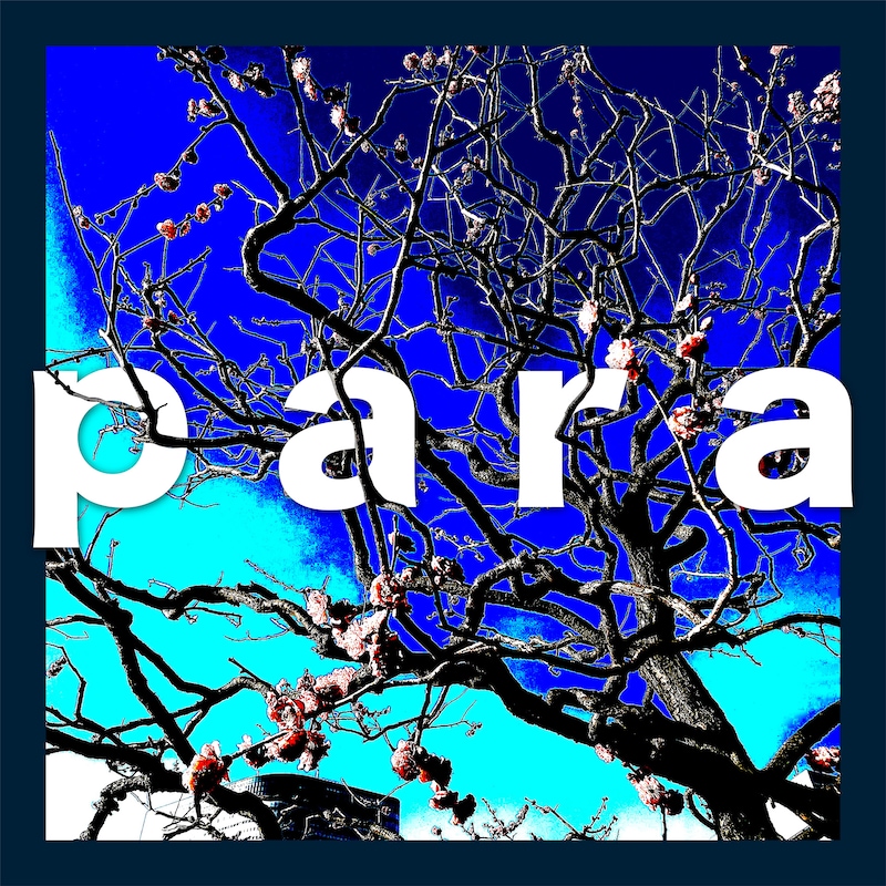 MO MOMA「para」配信ジャケット