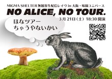 ニコニコ生放送「MIGMA SHELTER無観客生配信レイヴ in 大阪・味園ユニバース『NO ALICE, NO TOUR. ～ほなツアーちゃうやないかい～』」告知ビジュアル