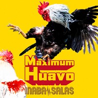 INABA / SALAS「Maximum Huavo」ジャケット
