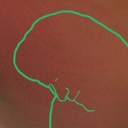 Johnnivan「Students」ジャケット