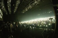 忘れらんねえよ「Zepp DiverCity ワンマン がんばれ柴田～こっからもっかい青春はじめる～」の様子。